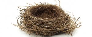 Empty-nest-618x250