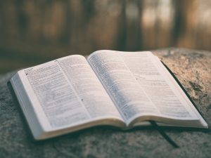 bible on a rock